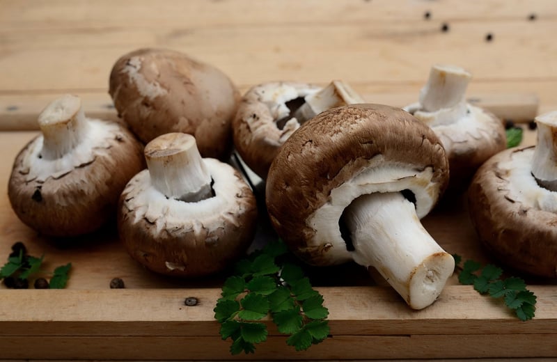 Ingredient Origins